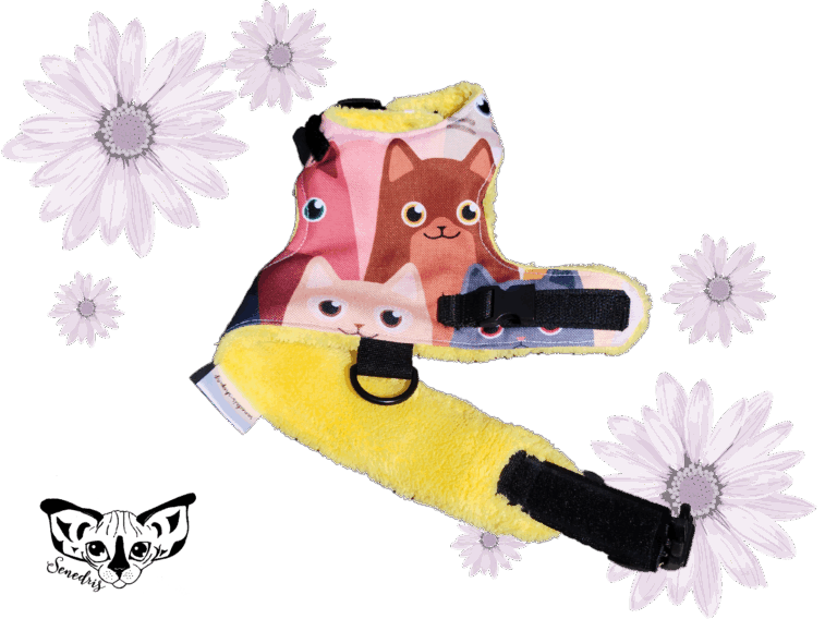 Kšíry cat žluté - Image 2